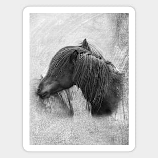 Friendship between horses Magnet